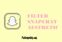 filter snapchat aesthetic